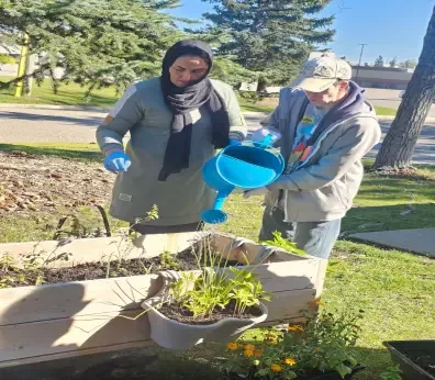 Clients watering raised garden planters outdoors on a sunny day